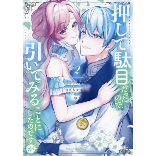 押して駄目だったので、引いてみることにしたのですが　２