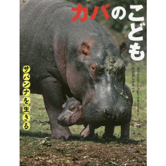 カバのこども