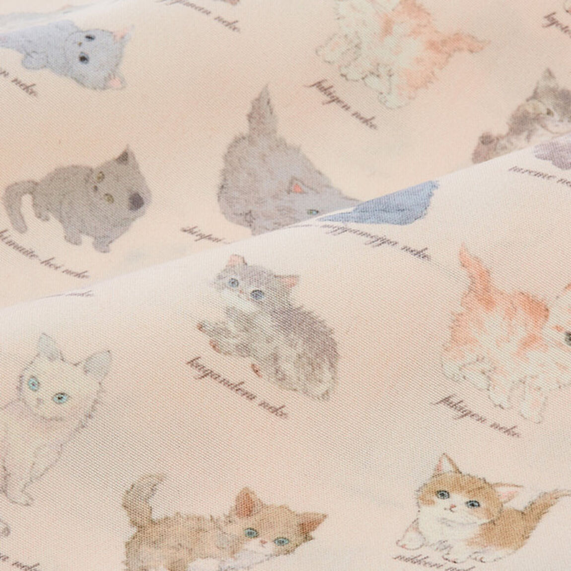 franche lippee memorial book (ブランドブック)