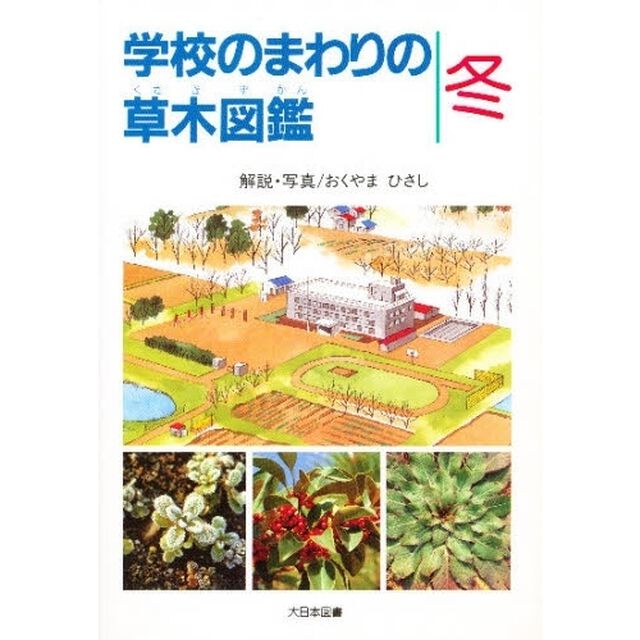 学校のまわりの草木図鑑　冬