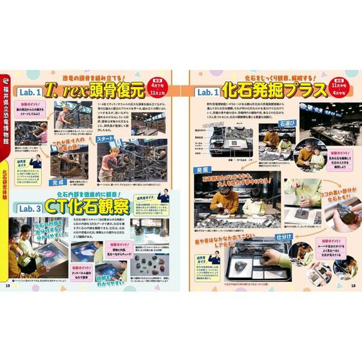 るるぶ福井県立恐竜博物館　〔２０２４〕