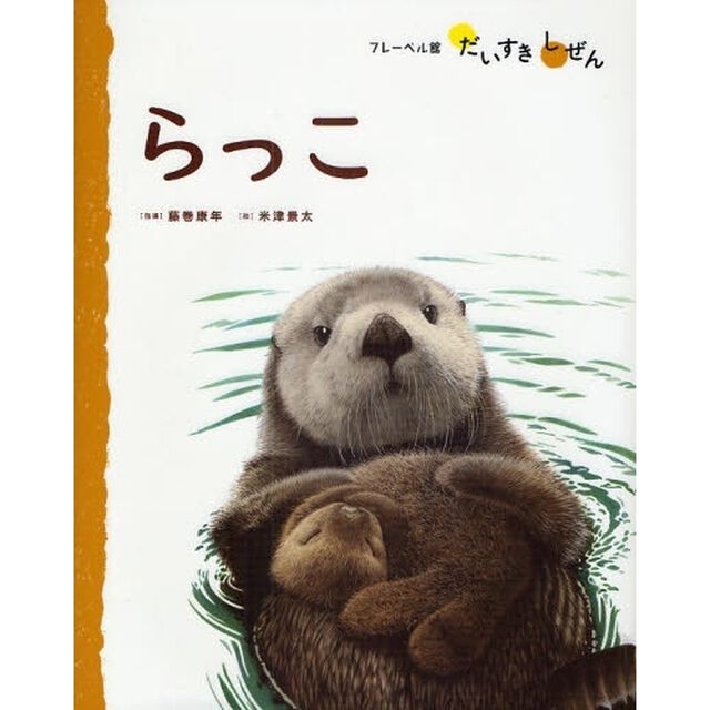 らっこ