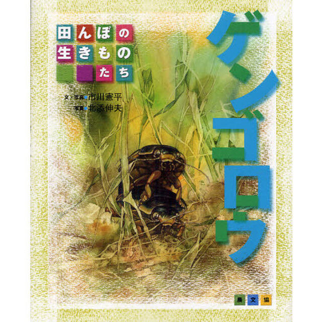 ゲンゴロウ