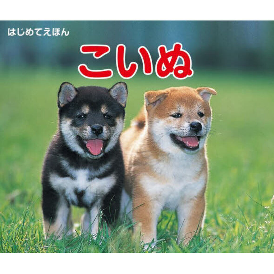 こいぬ「改訂版」