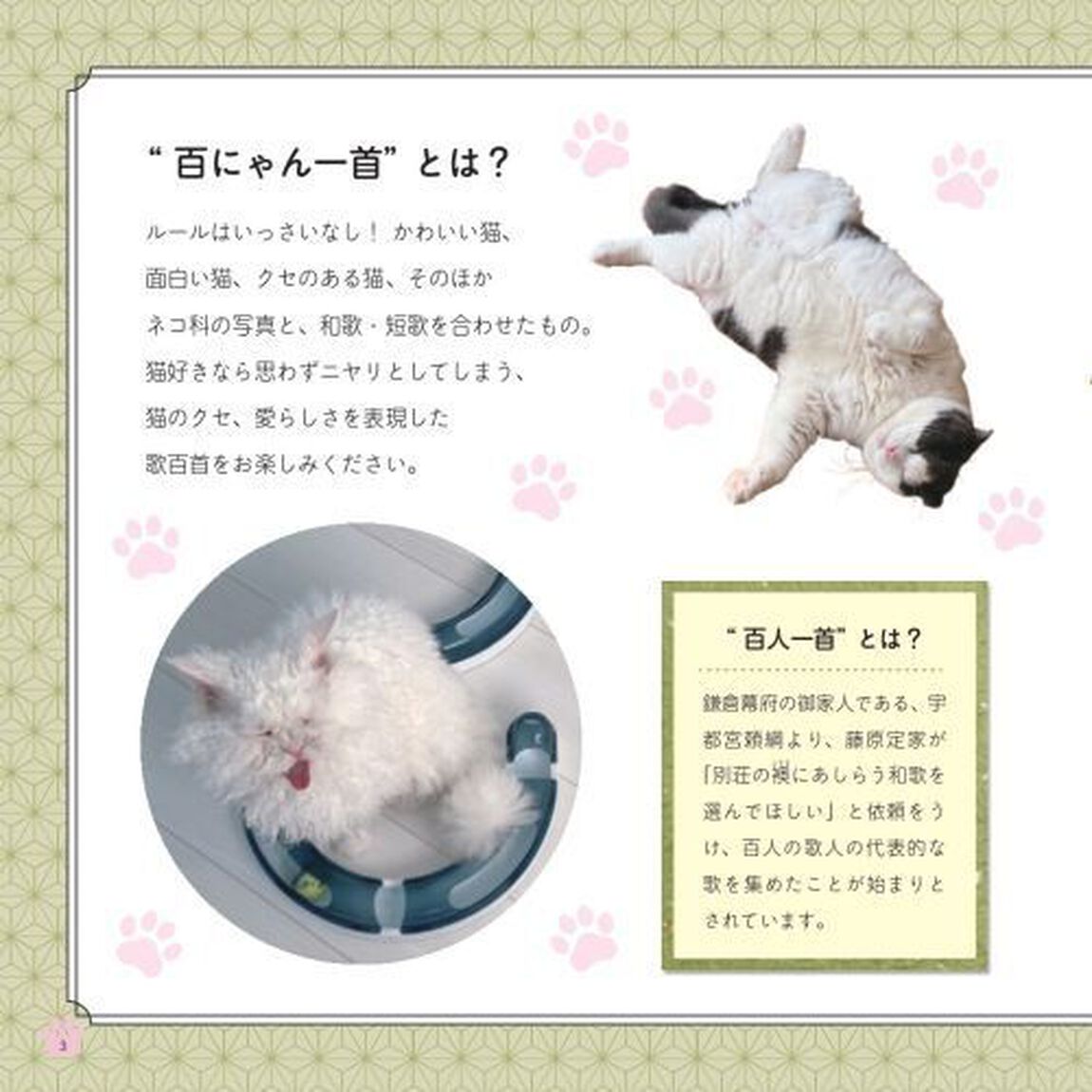 百にゃん一首