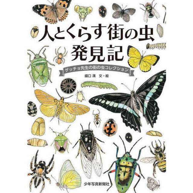 人とくらす街の虫発見記　ゲッチョ先生の街の虫コレクション