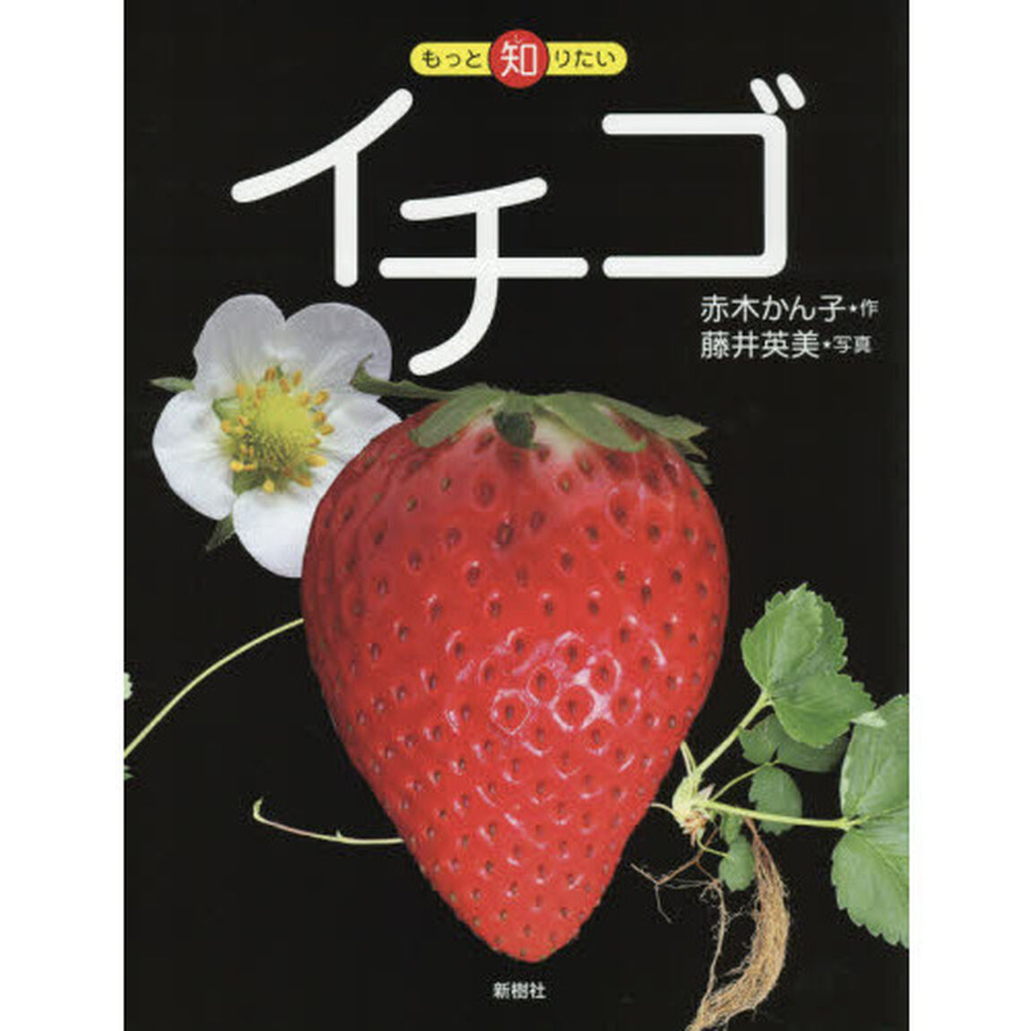 イチゴ