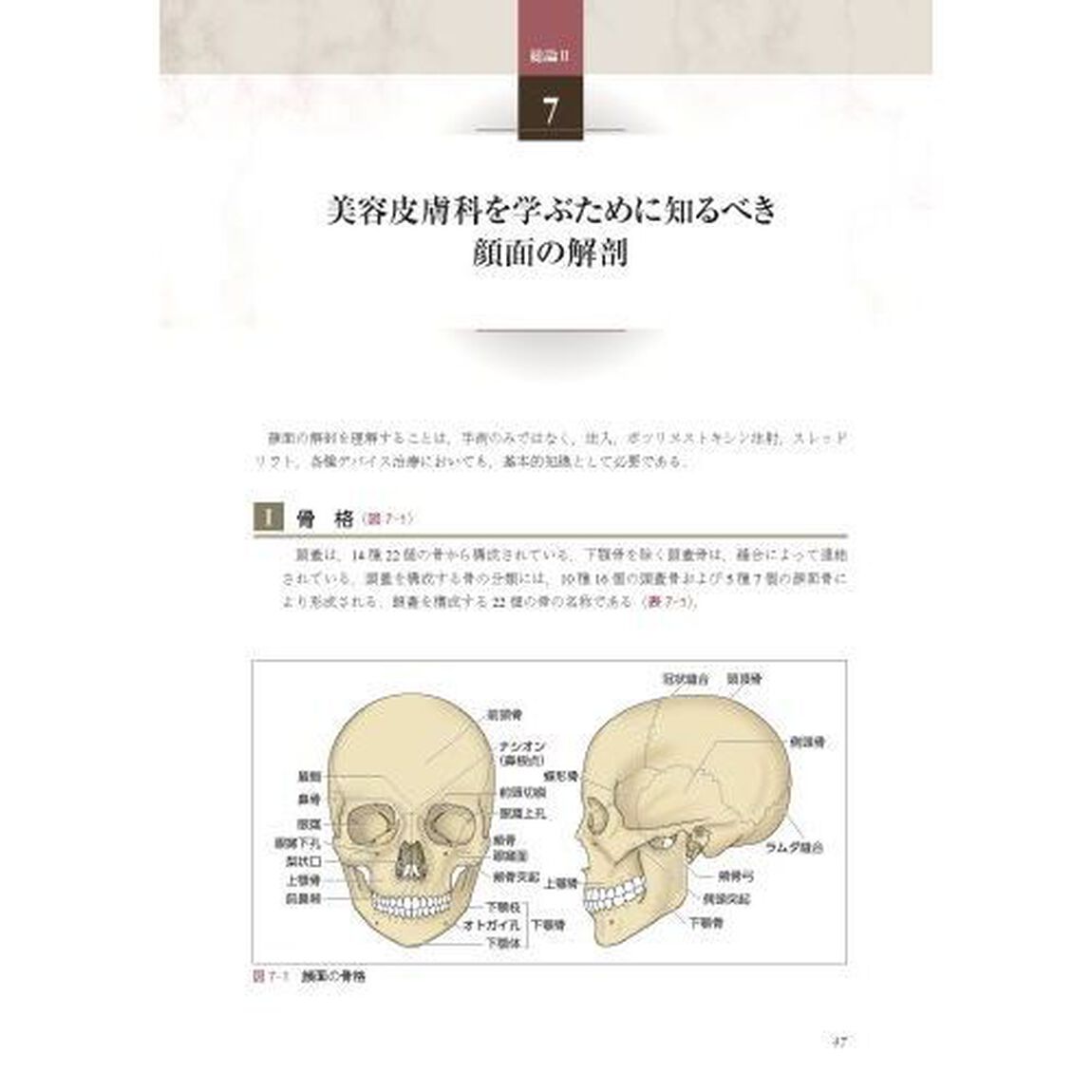 あたらしい美容皮膚科学