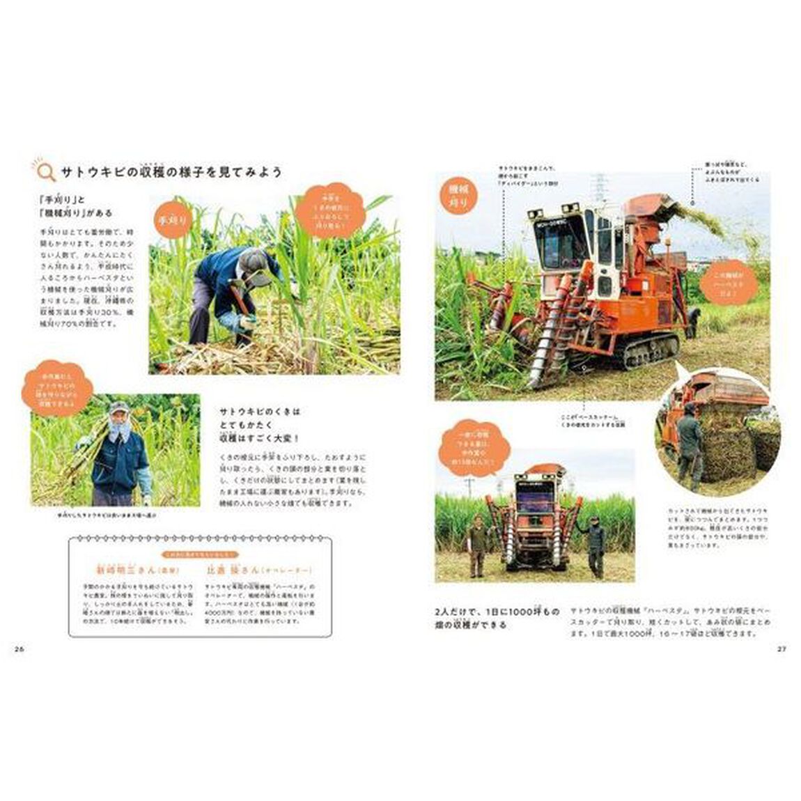 写真でわかる！日本の国土とくらし　３「あたたかい土地のくらし」
