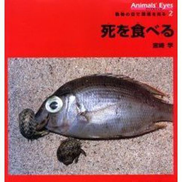 アニマルアイズ　動物の目で環境を見る　２「死を食べる」