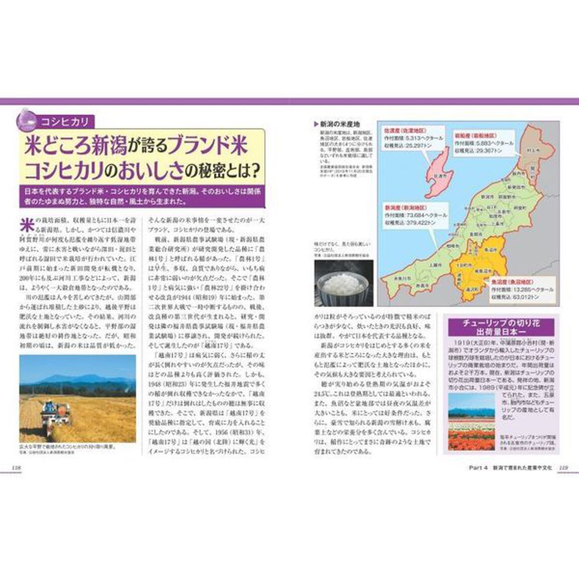 新潟のトリセツ