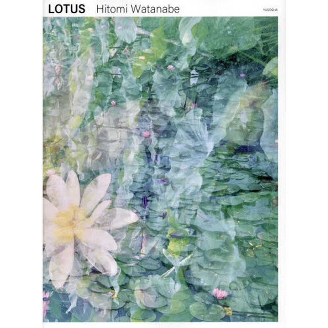 ＬＯＴＵＳ