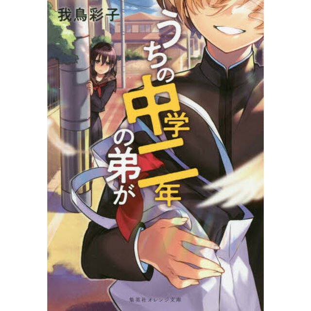 うちの中学二年の弟が