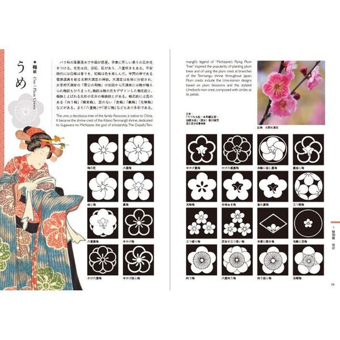 日本の家紋とデザイン