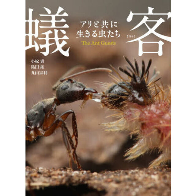 蟻客　アリと共に生きる虫たち