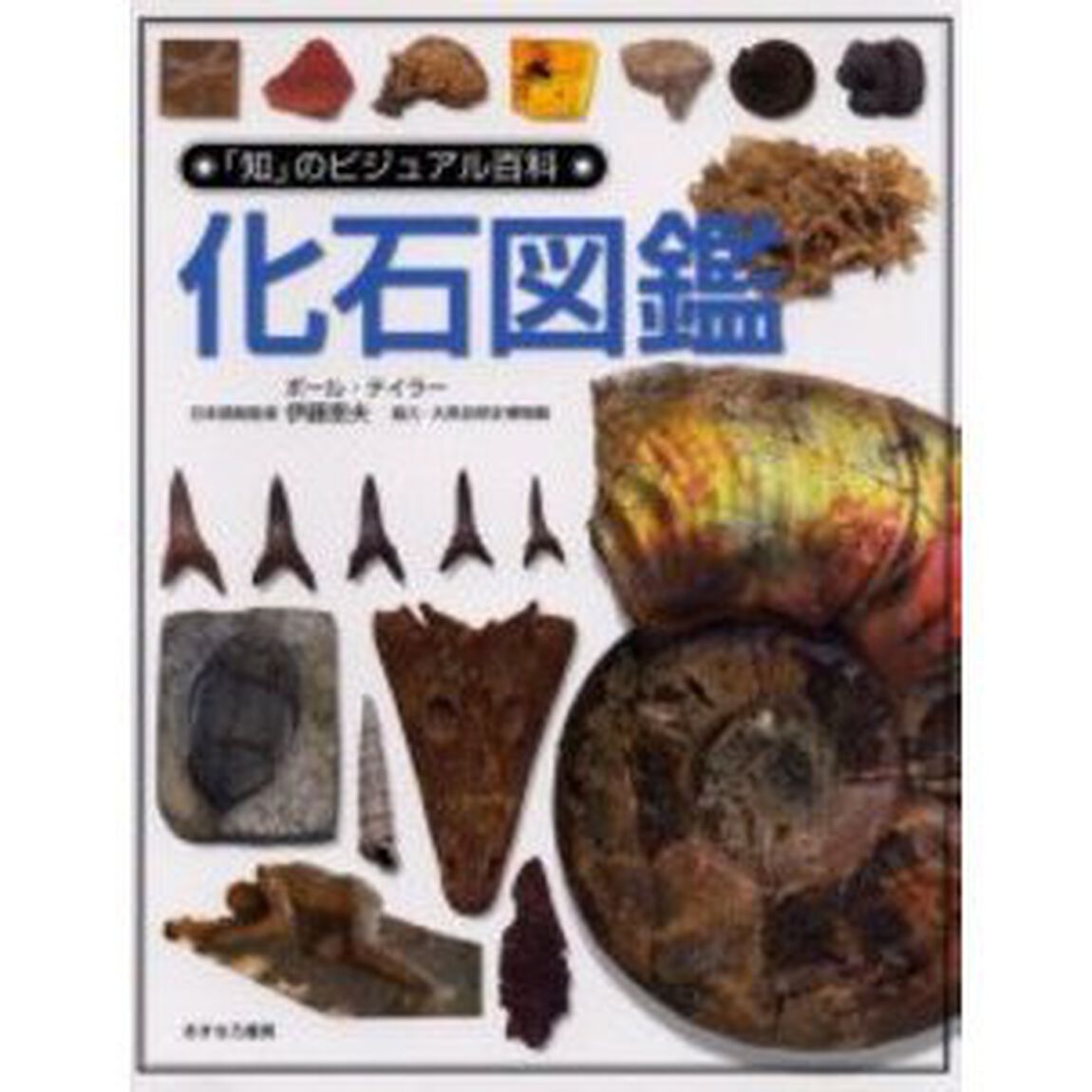 化石図鑑