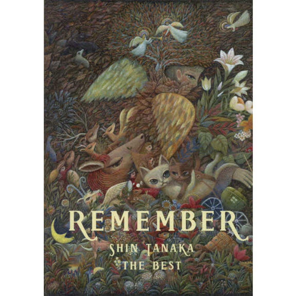 REMEMBER たなかしんベスト作品集