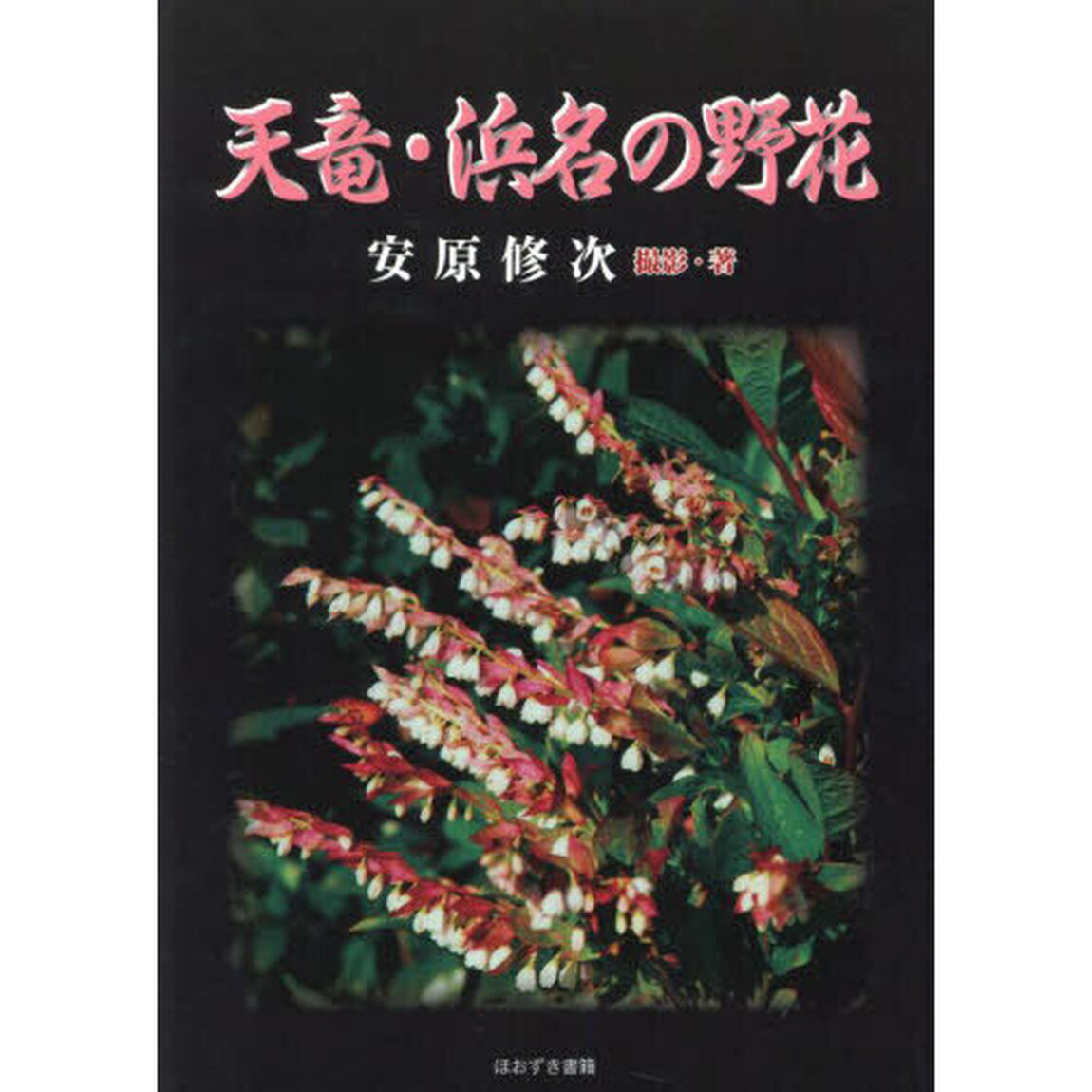 天竜・浜名の野花