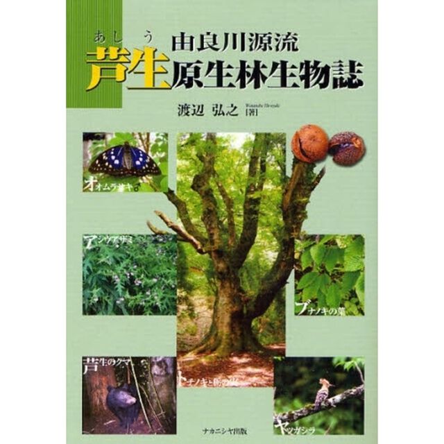 由良川源流芦生原生林生物誌