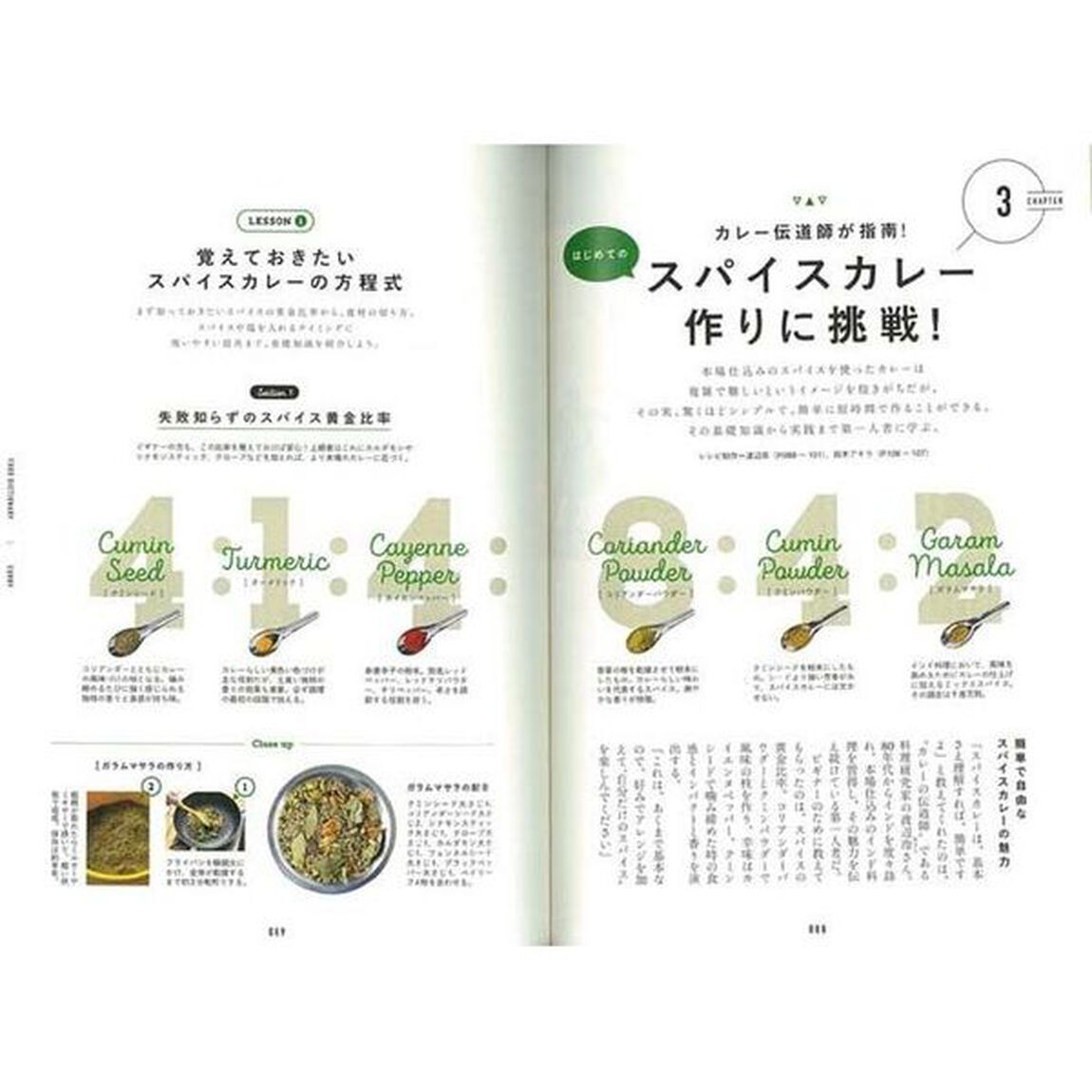 FOOD DICTIONARY カレー