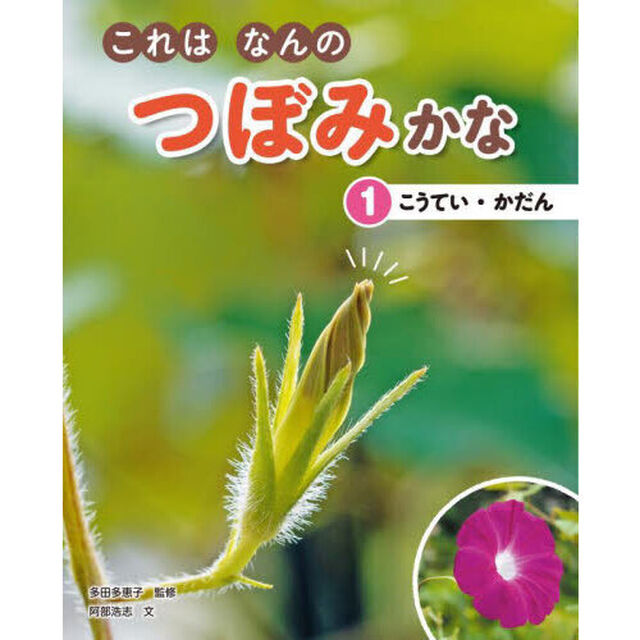 これはなんのつぼみかな　１「こうてい・かだん」