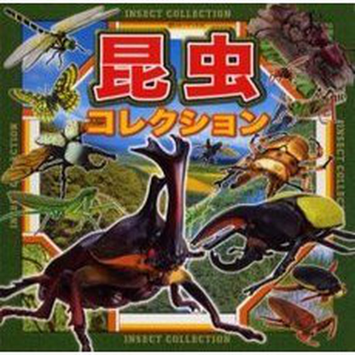昆虫コレクション
