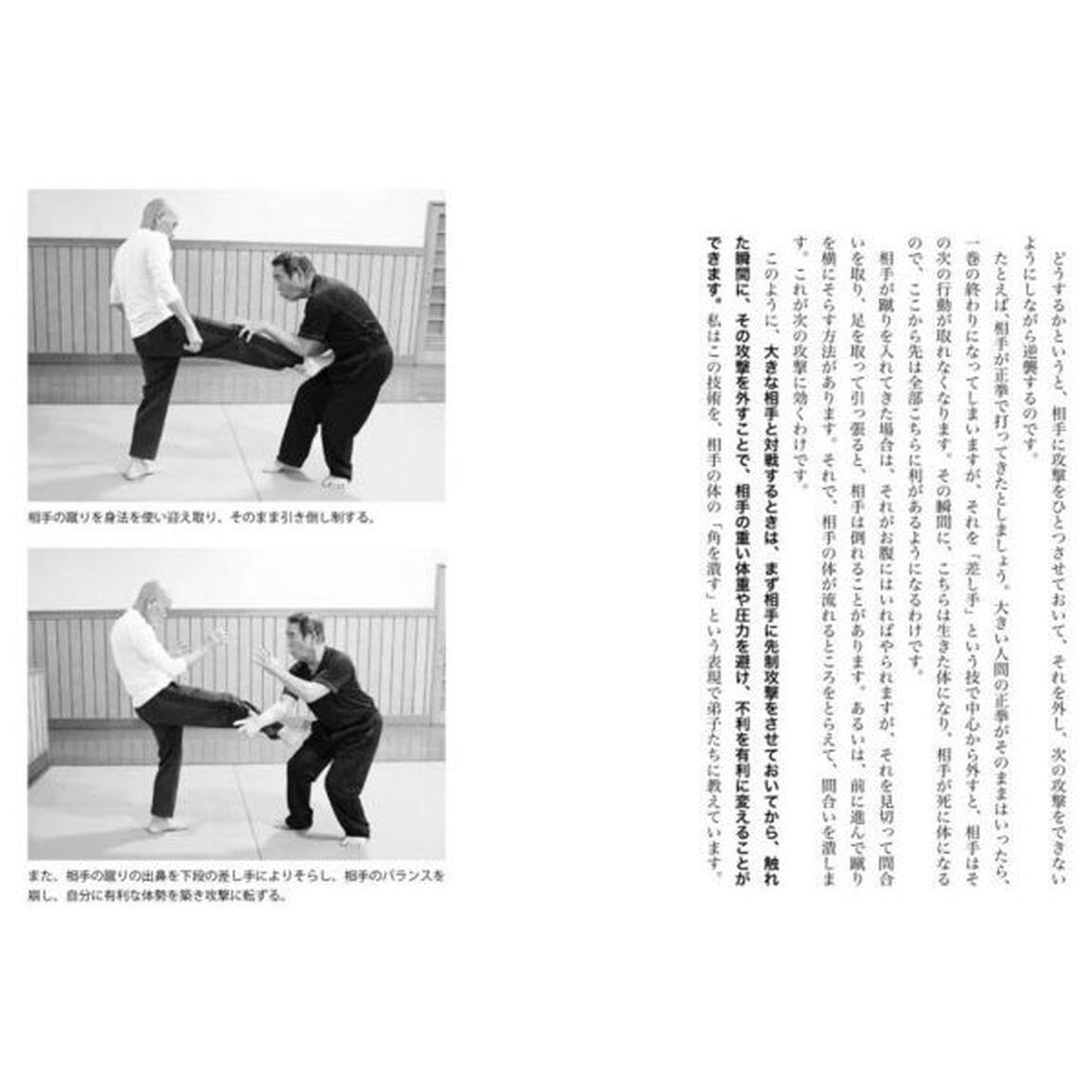 生きること、闘うこと太気拳の教え　体格、環境、年齢を超越し、いまある肉体を最高に活かす