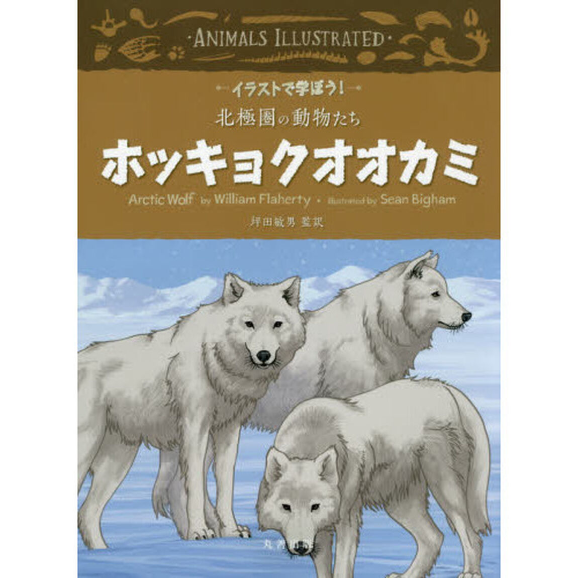 ホッキョクオオカミ