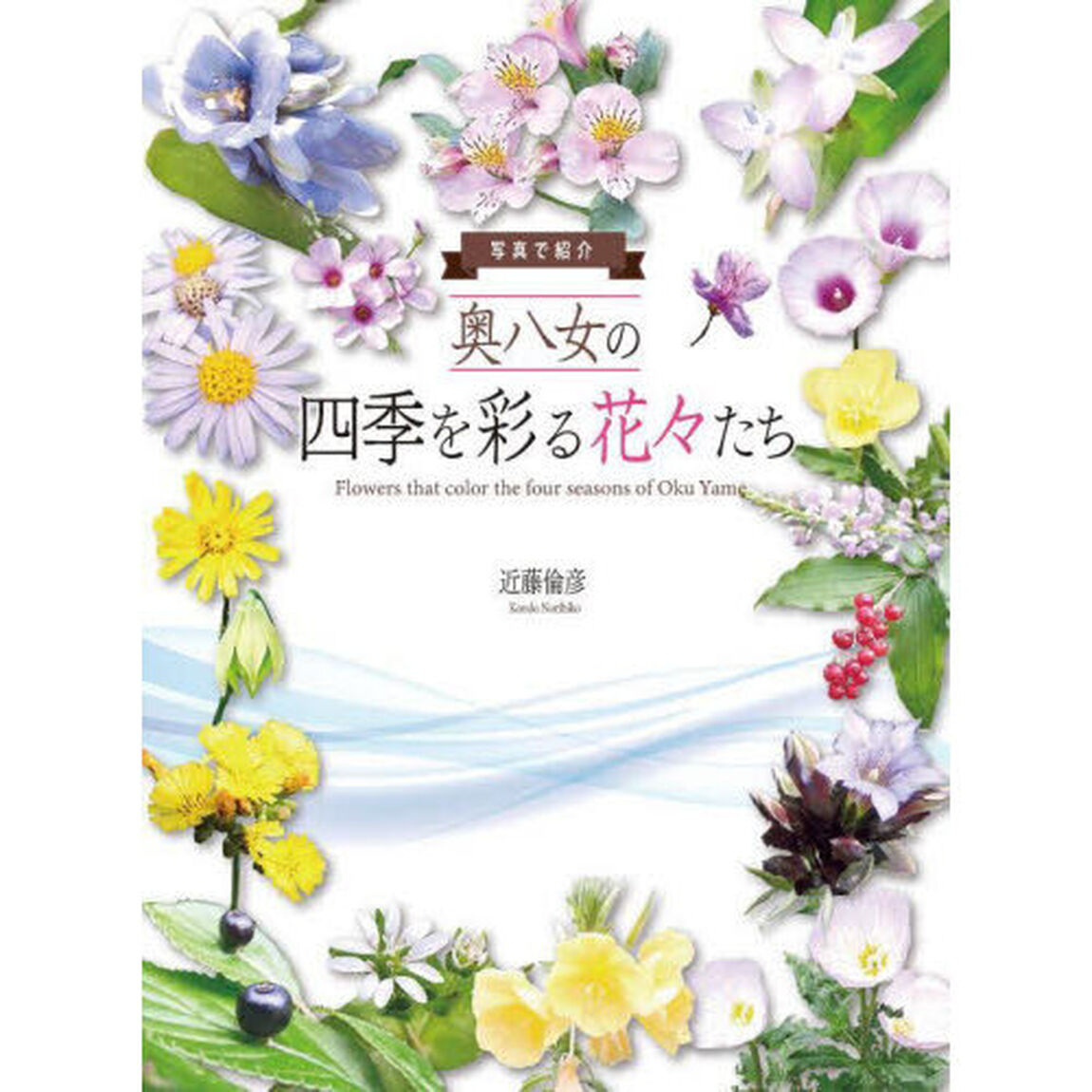 奥八女の四季を彩る花々たち　写真で紹介