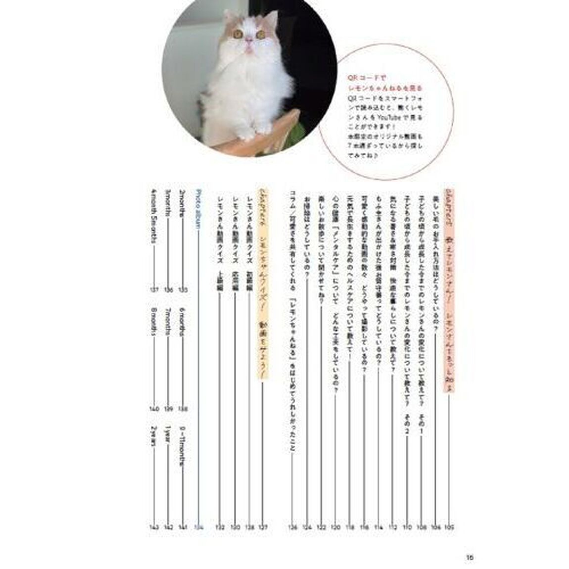 もっふもふな猫のレモンちゃん