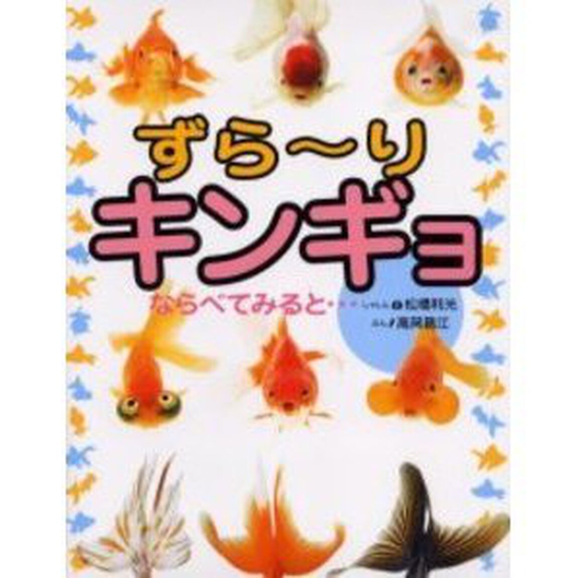 ずら〜りキンギョならべてみると&hellip;