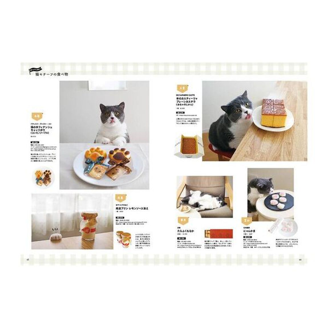 にゃんネル　ねこと私の幸せな暮らし「決定版」