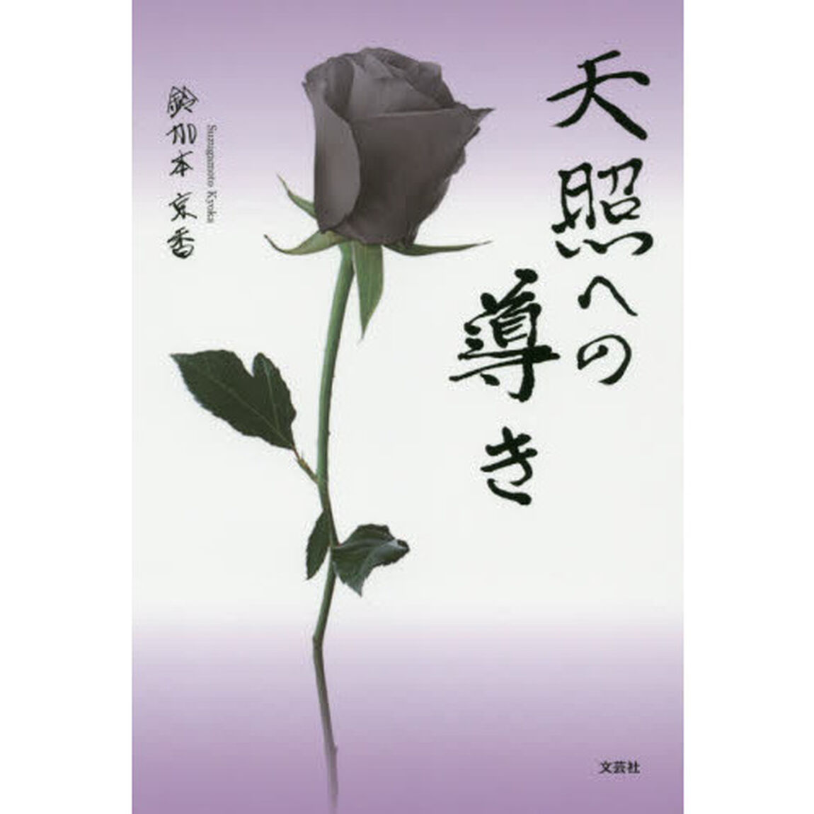 天照への導き
