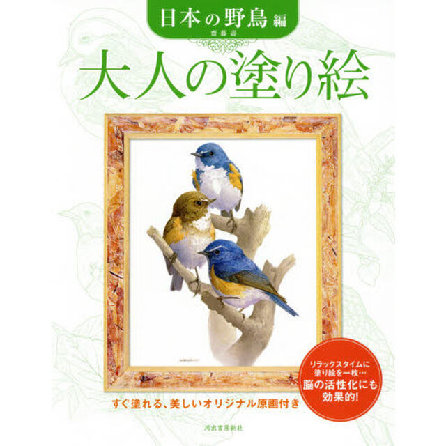 大人の塗り絵 日本の野鳥編