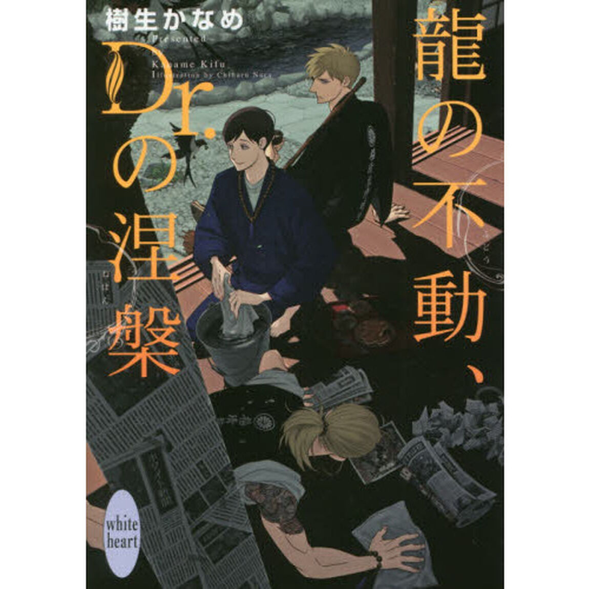 龍の不動、Ｄｒ．の涅槃