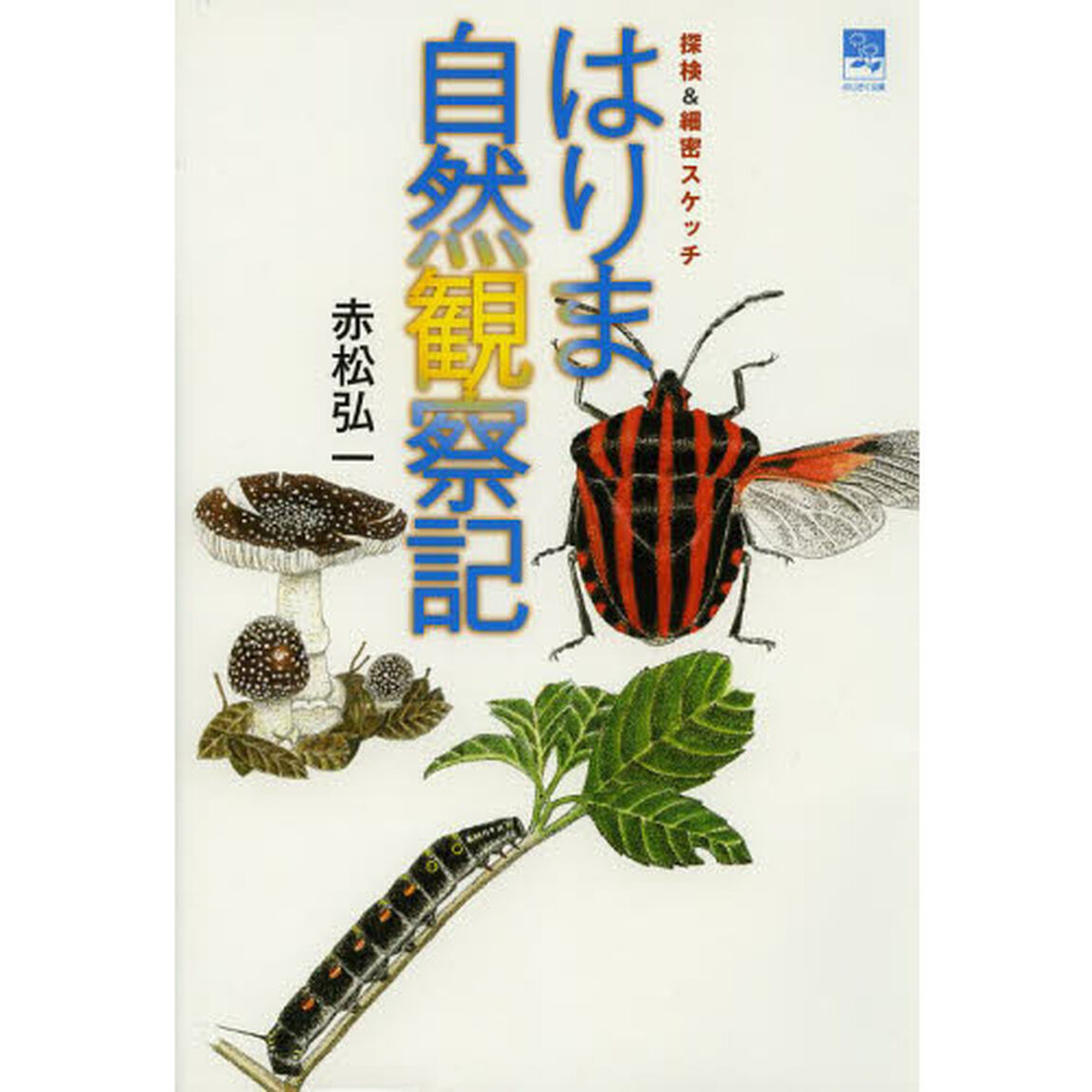 はりま自然観察記―探検&細密スケッチ (のじぎく文庫)
