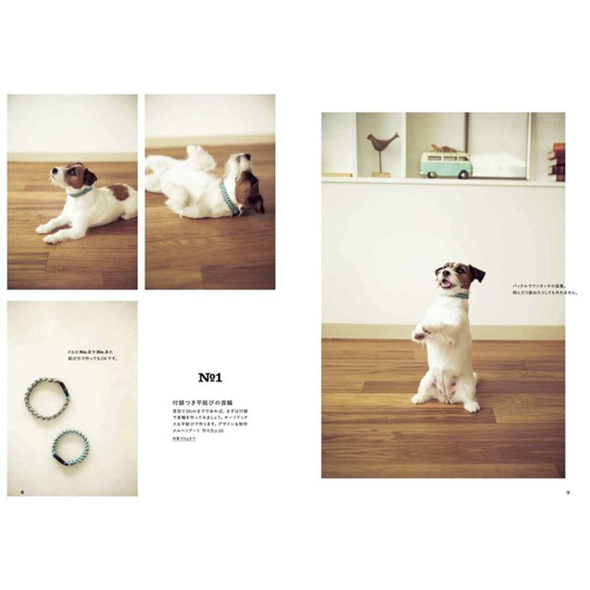 結んでつくる犬の首輪とリード　Ｆｏｒ　ＤＯＧＳ