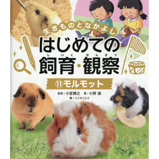 生きものとなかよしはじめての飼育・観察　１１「モルモット」