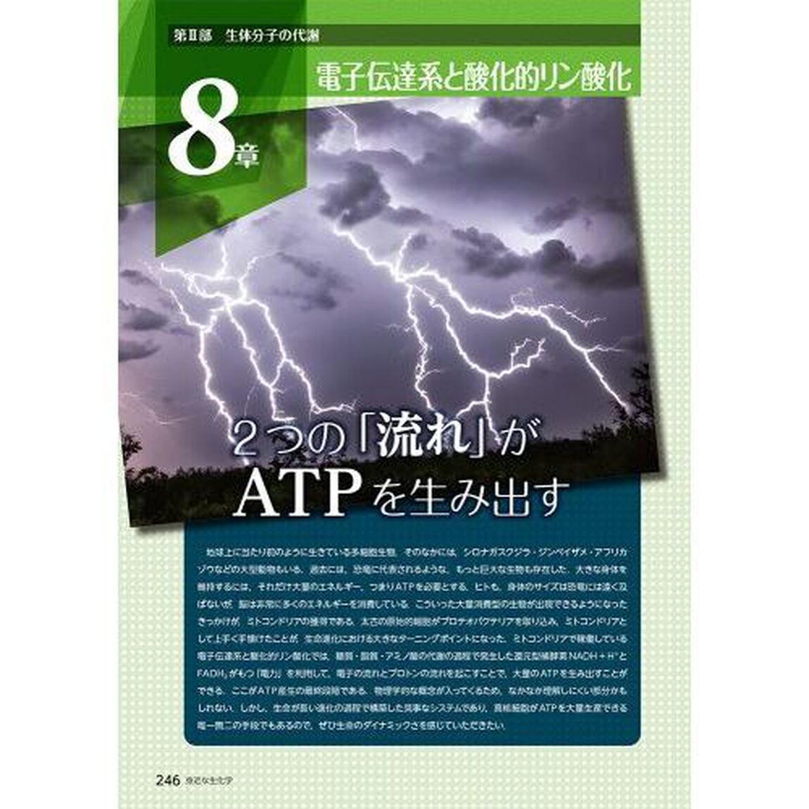 身近な生化学　分子から生命と疾患を理解する