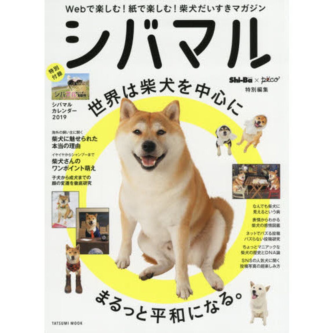 シバマル　Ｗｅｂで楽しむ！紙で楽しむ！柴犬だいすきマガジン