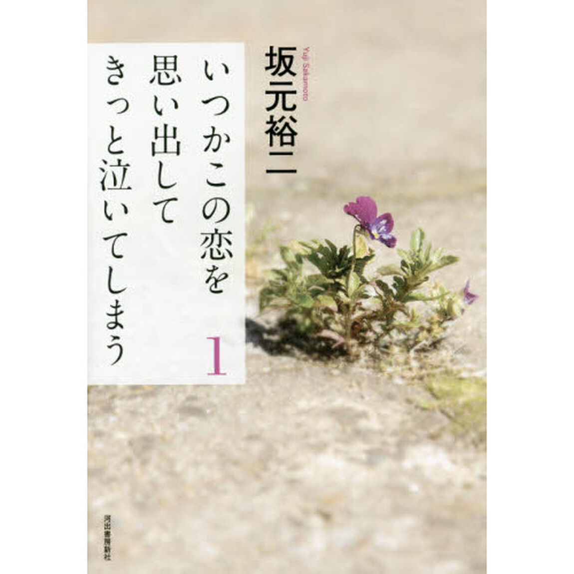 いつかこの恋を思い出してきっと泣いてしまう　１