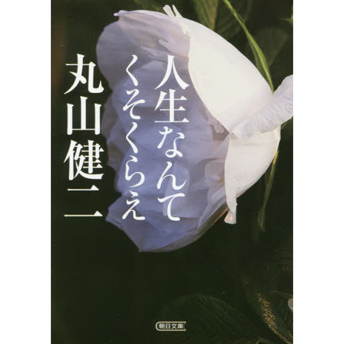 人生なんてくそくらえ