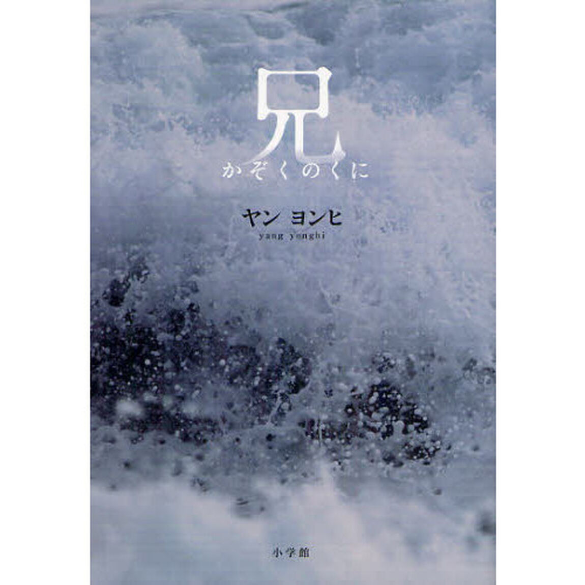 兄　かぞくのくに
