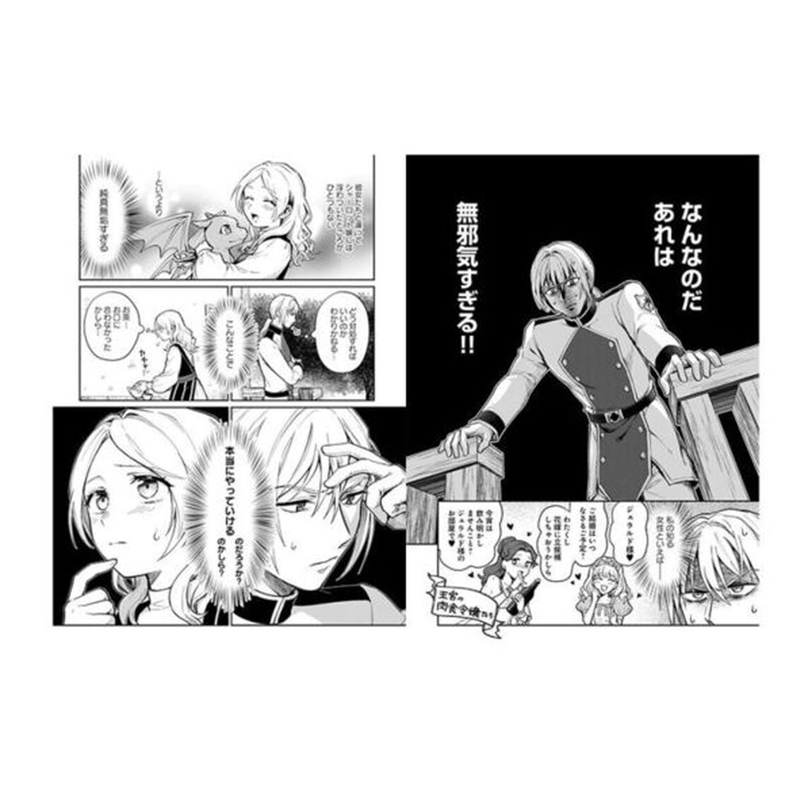 竜の子を産んだら離縁されたので森で隠居することにしました　２