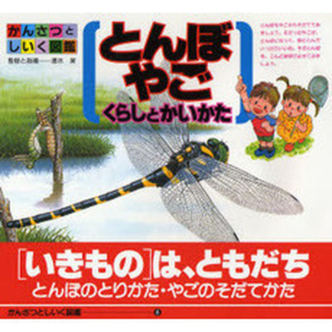とんぼ・やご　くらしとかいかた