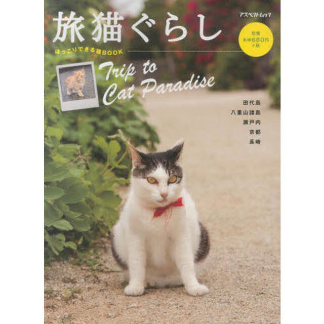 旅猫ぐらし
