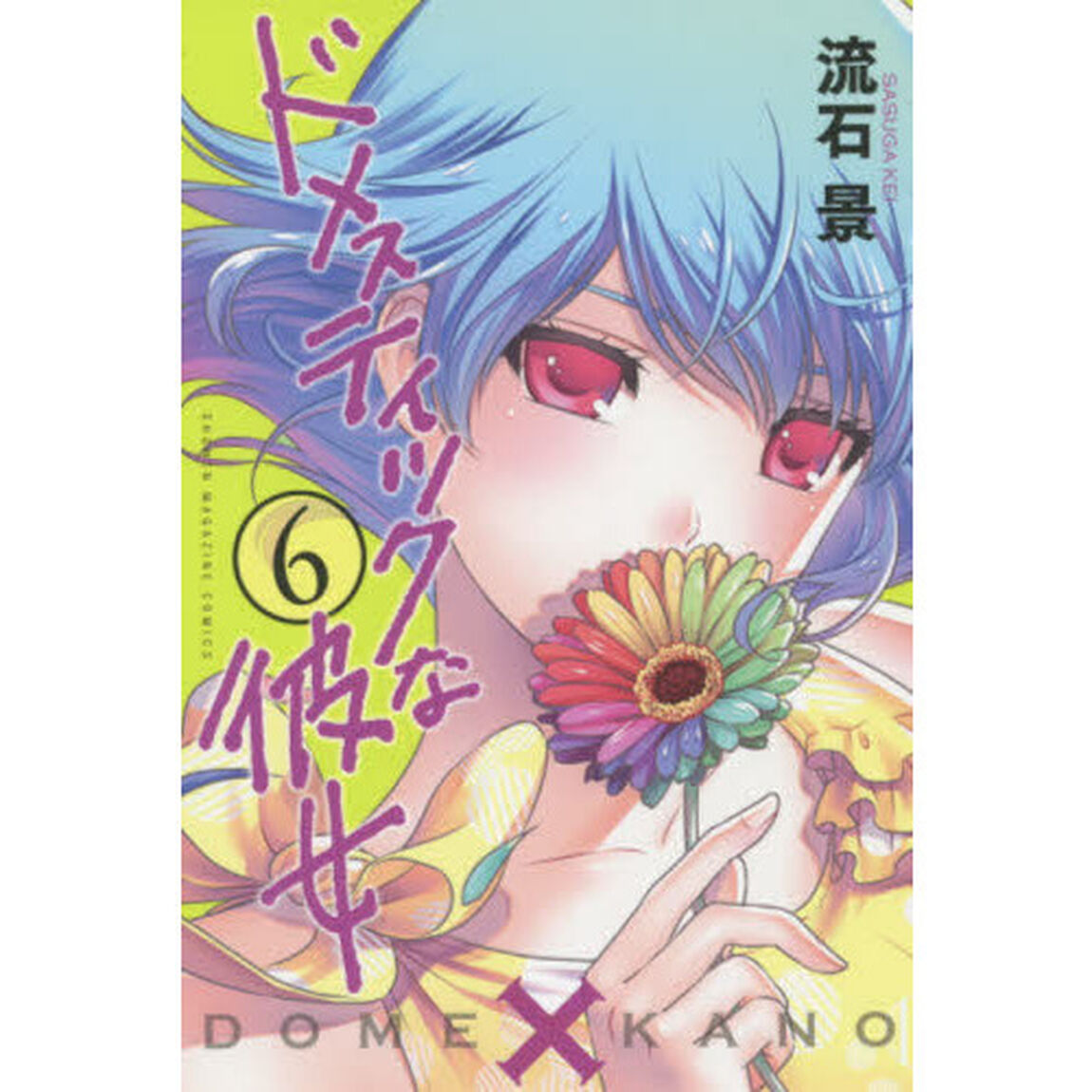 ドメスティックな彼女　６