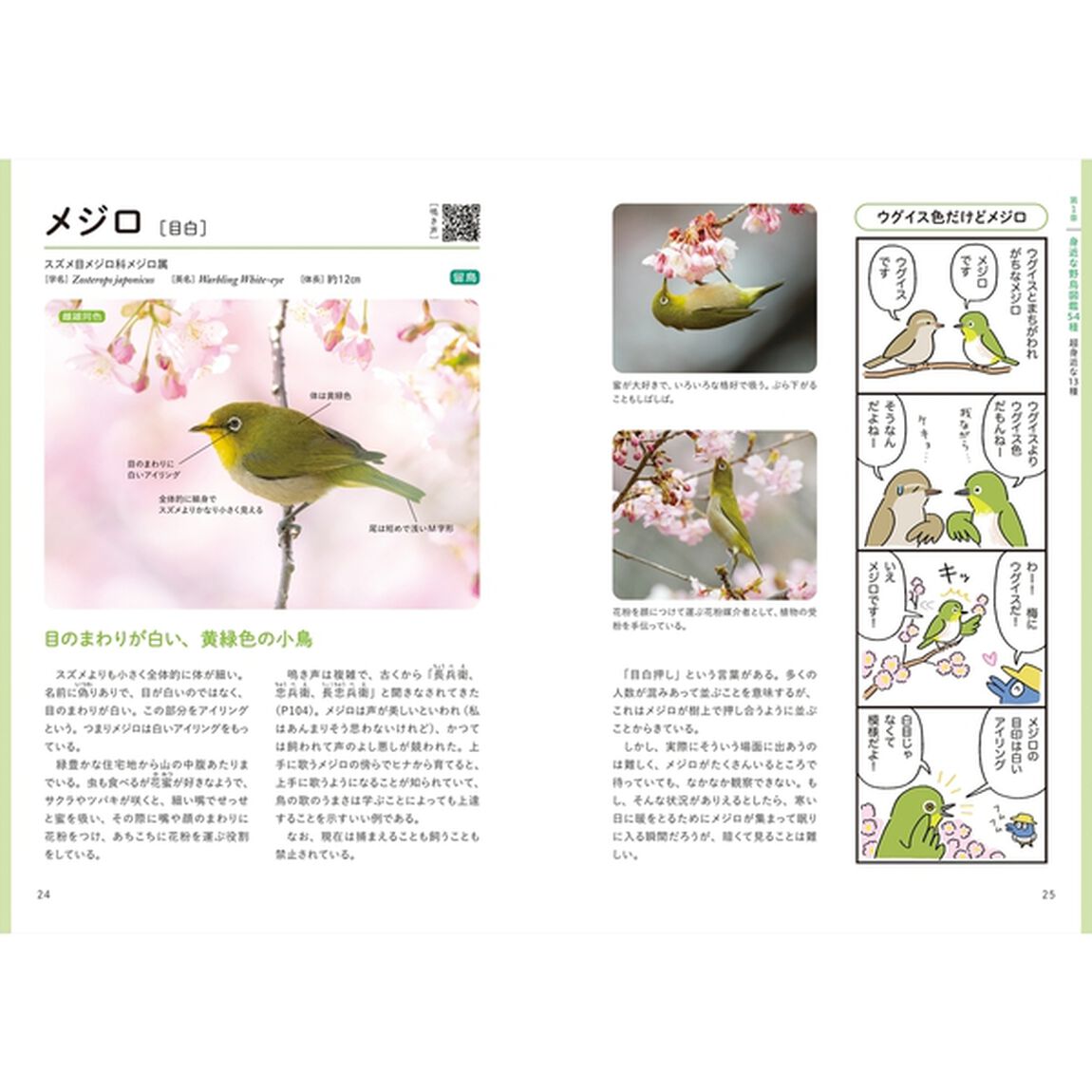 身近な場所で出あえる野鳥の教科書