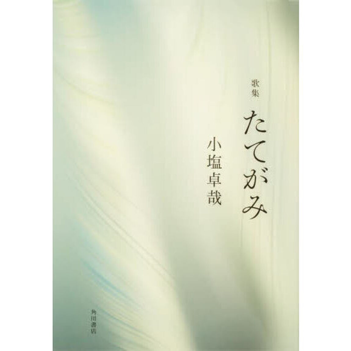 歌集　たてがみ