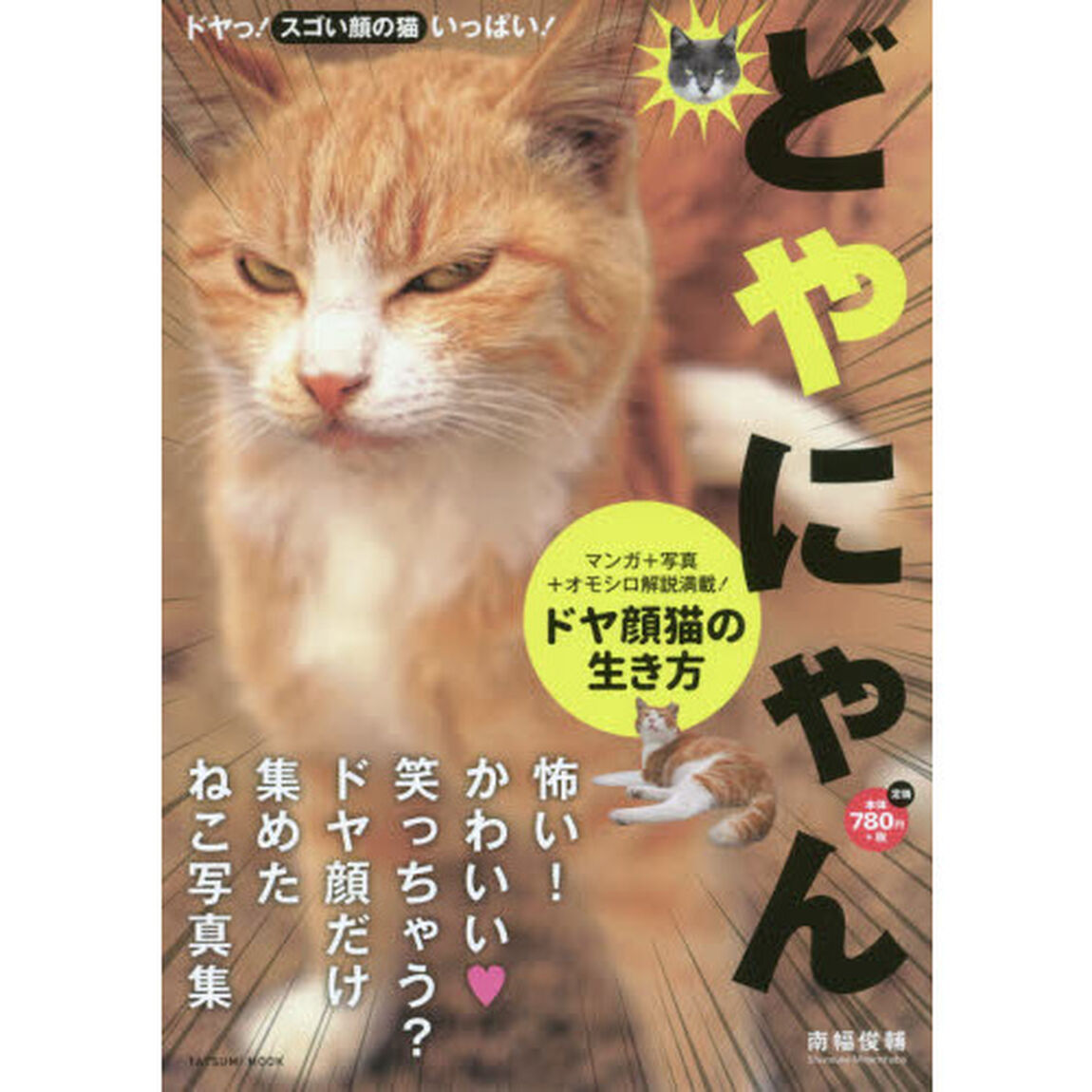どやにゃん。　ドヤ顔猫の生き方　マンガ＋写真＋オモシロ解説満載！